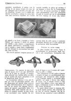 giornale/RML0025733/1931/unico/00000361