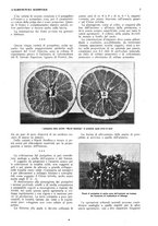 giornale/RML0025733/1932/unico/00000015