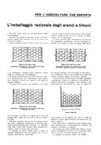 giornale/RML0025733/1932/unico/00000021