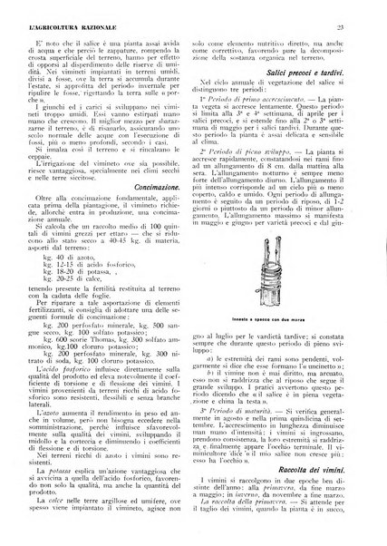 L'agricoltura razionale rivista dell'Ente nazionale italiano per l'organizzazione scientifica del lavoro