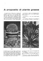 giornale/RML0025733/1932/unico/00000059