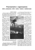 giornale/RML0025733/1932/unico/00000175