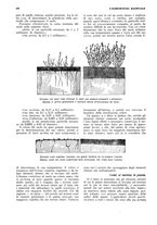 giornale/RML0025733/1932/unico/00000198