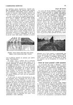 giornale/RML0025733/1932/unico/00000199