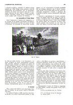 giornale/RML0025733/1932/unico/00000215