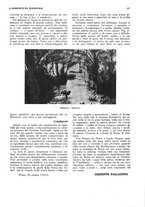 giornale/RML0025733/1932/unico/00000217