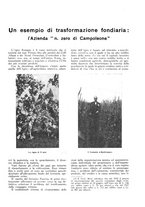 giornale/RML0025733/1932/unico/00000267