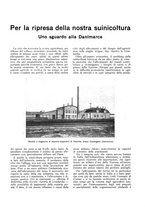 giornale/RML0025733/1932/unico/00000271