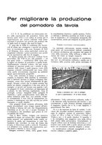 giornale/RML0025733/1933/unico/00000025