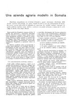 giornale/RML0025733/1933/unico/00000031