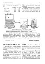 giornale/RML0025733/1933/unico/00000049