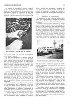 giornale/RML0025733/1933/unico/00000131