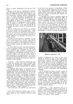 giornale/RML0025733/1933/unico/00000134