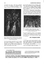 giornale/RML0025733/1933/unico/00000204