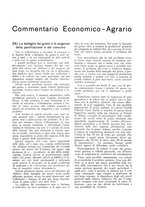 giornale/RML0025733/1933/unico/00000205