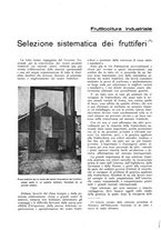 giornale/RML0025733/1933/unico/00000262