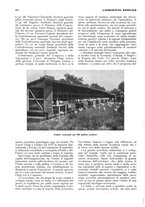 giornale/RML0025733/1933/unico/00000268