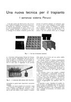 giornale/RML0025733/1933/unico/00000305