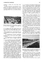 giornale/RML0025733/1933/unico/00000317