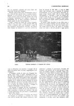 giornale/RML0025733/1933/unico/00000338