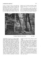 giornale/RML0025733/1933/unico/00000339