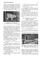 giornale/RML0025737/1934/unico/00000025