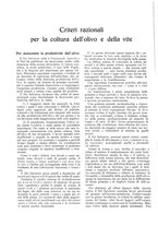 giornale/RML0025737/1934/unico/00000046