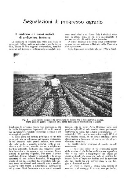 Nuova vita rurale agricoltura razionale