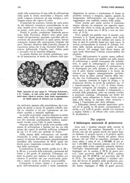 Nuova vita rurale agricoltura razionale