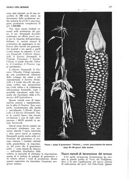 Nuova vita rurale agricoltura razionale