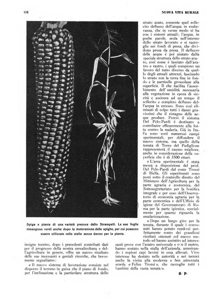 Nuova vita rurale agricoltura razionale