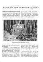 giornale/RML0025737/1934/unico/00000167