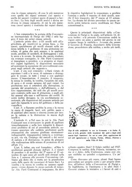 Nuova vita rurale agricoltura razionale