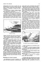 giornale/RML0025737/1935/unico/00000153