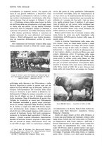 giornale/RML0025737/1935/unico/00000241