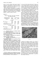 giornale/RML0025737/1935/unico/00000245