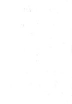 giornale/RML0025821/1925/unico/00000368