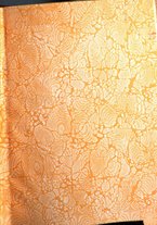 giornale/RML0025821/1932/unico/00000003