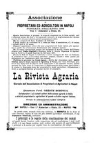 giornale/RML0025954/1892/v.2/00000447