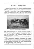 giornale/RML0025981/1923/unico/00000186