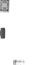 giornale/RML0025981/1924/unico/00000002