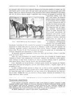 giornale/RML0025981/1924/unico/00000034