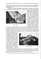 giornale/RML0025981/1924/unico/00000070