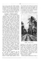 giornale/RML0025981/1924/unico/00000197