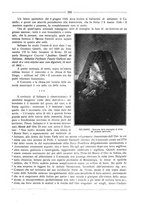 giornale/RML0025981/1924/unico/00000319