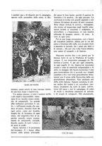 giornale/RML0025981/1927/unico/00000026