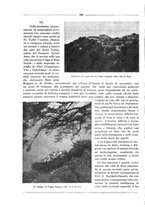 giornale/RML0025981/1927/unico/00000220