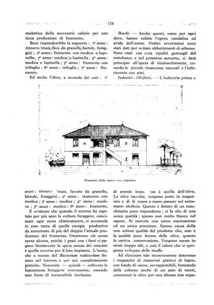 Terra Sabina storia, arte, lettere, agricoltura, industria, commercio