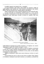 giornale/RML0025981/1927/unico/00000435