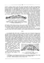 giornale/RML0025981/1927/unico/00000498